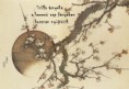 /album/termeszet-haikuk/hosszan-nyujtozik-jpg/